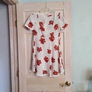 Reformation White Red Floral Dress